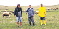 Keneye ‘sarı çizmeli’ önlem
