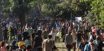 Gezi'yle ilgili ilginç bilgi!