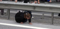 CHP'li vekiller yolu şaşırdı!