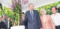 Orkideye onların adı verildi