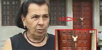 Gürcistan'da Müslümanlara çirkin saldırı