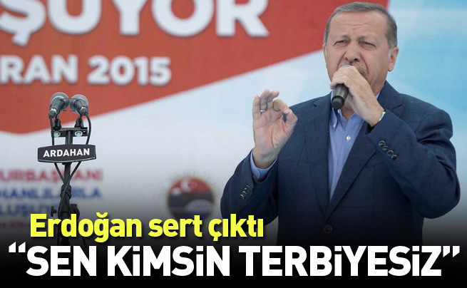 Cumhurbaşkanı Erdoğan Ardahan'da konuşuyor