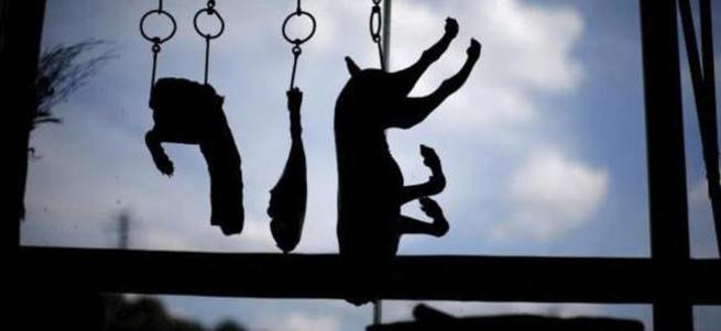 Büyük tepki çeken 'Yulin köpek yeme festivali' başladı