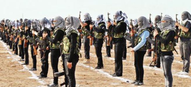 PYD'nin amacı etnik temizlik