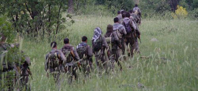 2 PKK'lı teslim oldu