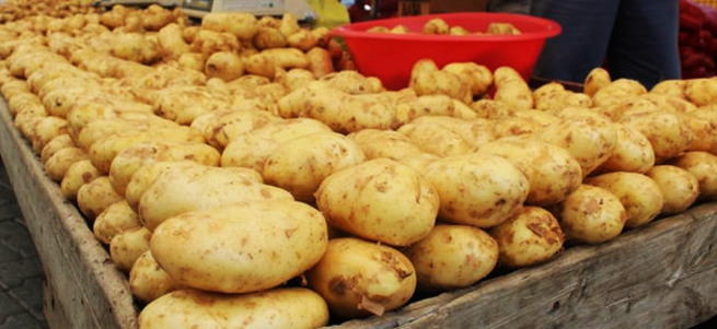 Patates fiyatlarında büyük düşüş!