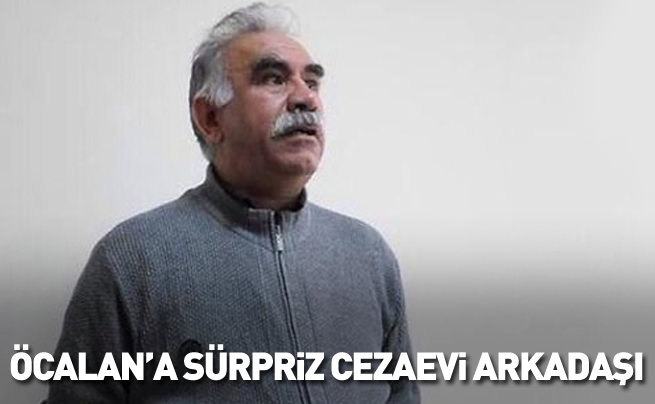 Öcalan'a cezaevinde sürpriz arkadaş