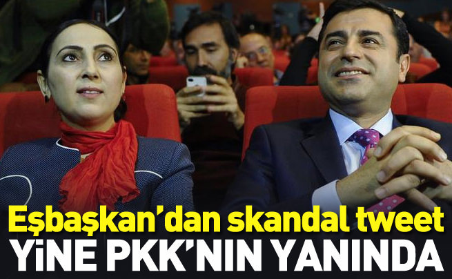 Eşbaşkan Yüksekdağ'dan skandal tweet