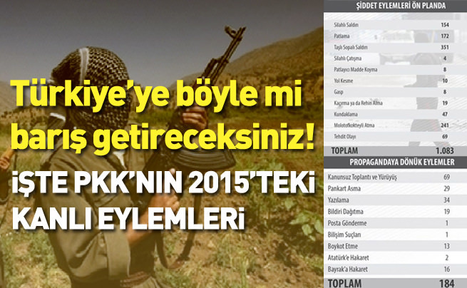 PKK terörü 2015'te zirve yaptı