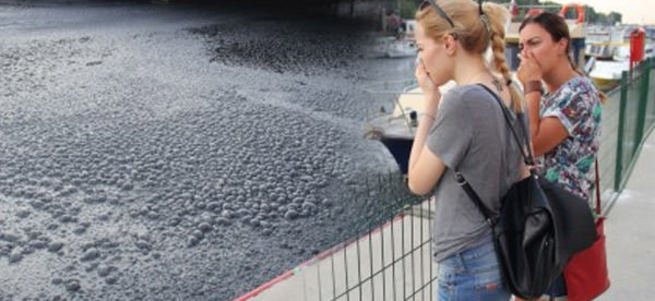 Kadıköy'deki Kurbağalıdere kirden fokurdamaya başladı