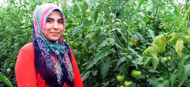 Tarlada çalışarak Hukuk fakültesi kazandı