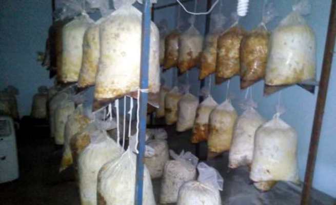 Diyarbakır'ı yok etmeye yetecek kadar patlayıcı ele geçirildi