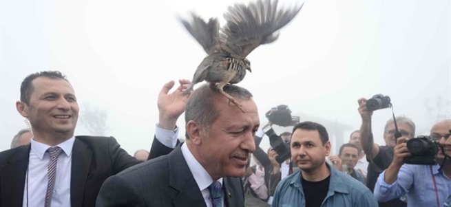 Erdoğan'ın başına keklik kuşu kondu renkli görüntüler oluştu