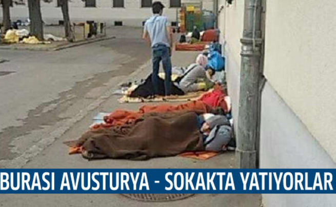 Avusturya’nın utanç kampları