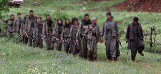 PKK'nın 12 ilçedeki hain planı