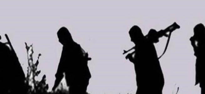 PKK'ya çok ağır darbe