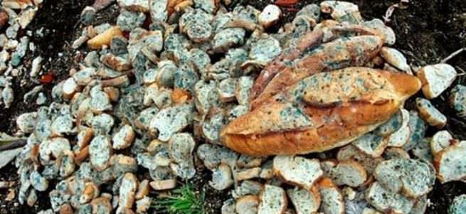 Günlük israf edilen ekmek sayısı 5 milyona ulaştı