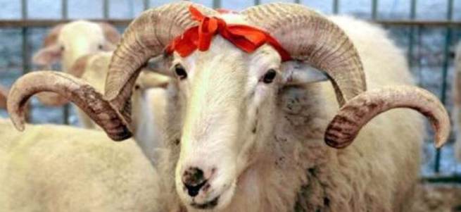 Kurban Bayramı tatili uzuyor