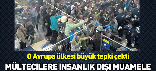 Macaristan'daki kampta mültecilere insanlık dışı muamele