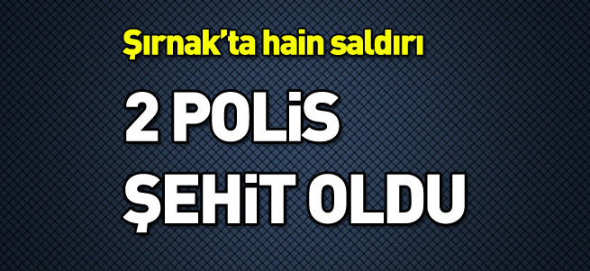 Şırnak'ta polise saldırı