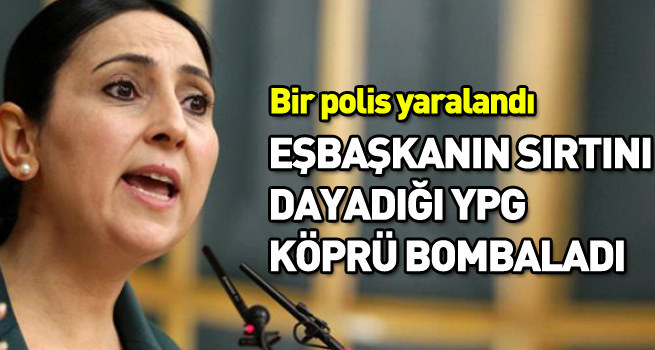 Eşbaşkanın sırtını dayadığı YPG köprü bombaladı!