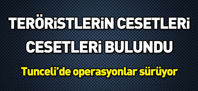 Tunceli'de hava operasyonunda vurulan 30-35 PKK'lıdan 10'unun cesedi bulundu