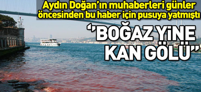 DHA'nın geleneksel kurban haberi: Boğaz kan gölü