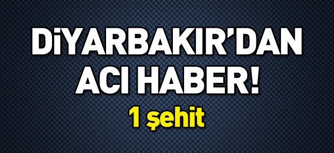 Diyarbakır'da polis aracı devrildi: 1 şehit