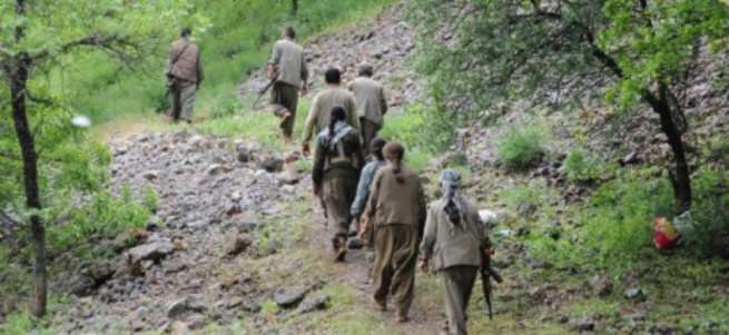 Şırnak'ta teröristler öğretmenleri kaçırdı