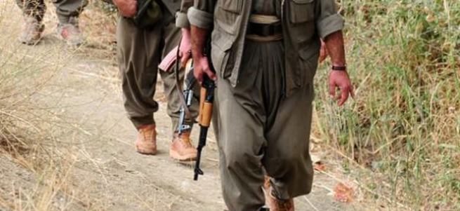 Hakkari'de 11 terörist öldürüldü