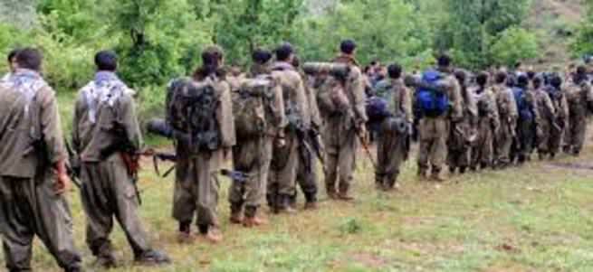 PKK’nın ‘Karadeniz Açılım Grubu’ deşifre oldu