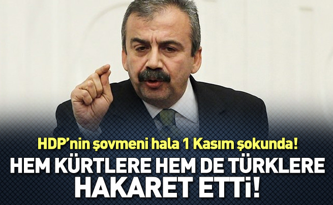 Sırrı Süreyya'dan Türklere ve Kürtlere hakaret