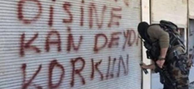 Silvan'daki duvar yazılarına inceleme