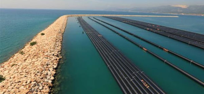Türkiye kızdı, yavru vatanın vanasını kapadı