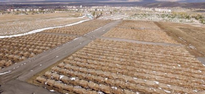 Erzurum'da bin 800 mezar kazıldı!
