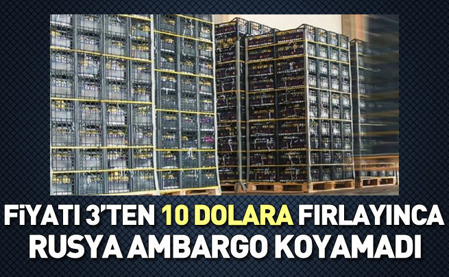 Limonun fiyatı 10 dolara çıkınca Ruslar yasaklayamadı