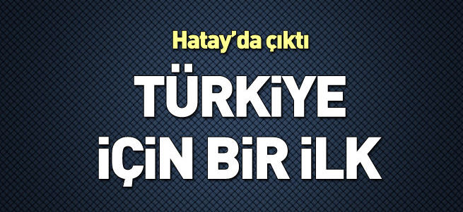 Türkiye'nin ilk lav tüpü mağarası bulundu