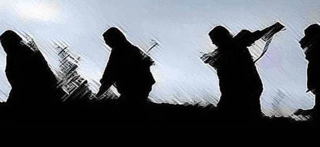 İçişleri Bakanı Ala: Profesyonel sınır güvenliği teşkilatı kuruyoruz