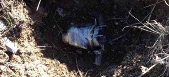 Şırnak'ta PKK'lılar anaokulu bahçesine bomba bıraktı