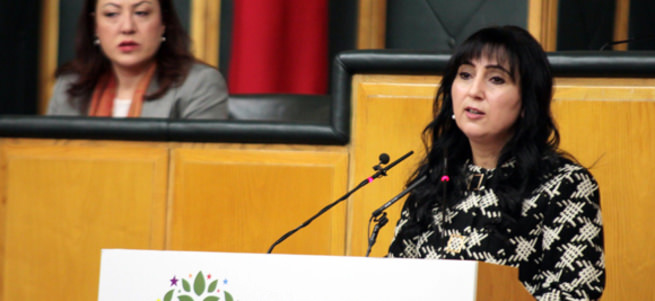 Figen Yüksekdağ'dan skandal açıklama