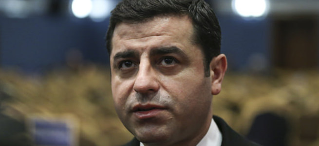Demirtaş'tan skandal 'Çınar' açıklaması