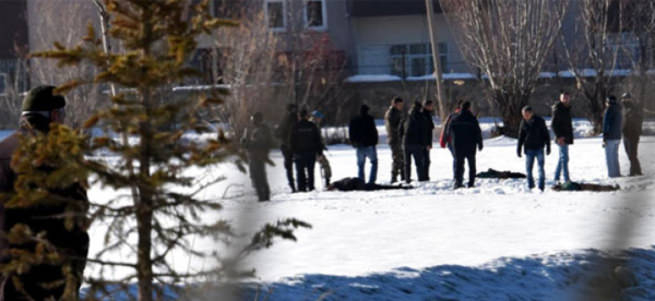 Van'da öldürülen 12 PKK'lının kimlikleri tespit edildi