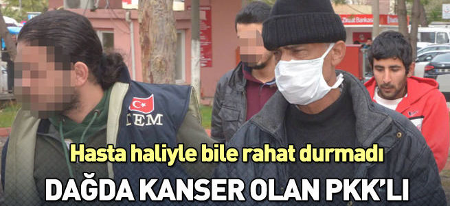 PKK'lı kanser tedavisi için Adana'ya gitmiş!