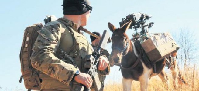 PKK ile mücadelede katırlı timler kurulacak