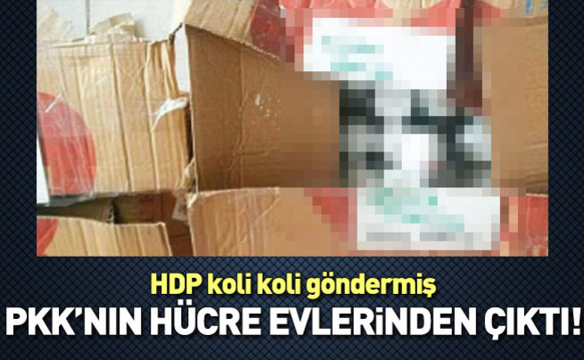 HDP'den PKK'ya koli koli yardım!