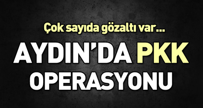 Aydın'da PKK operasyonu: 17 gözaltı