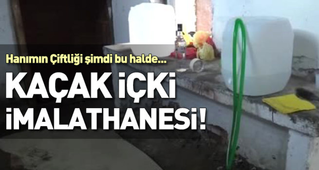 Hanımın Çiftliği kaçak içki imalathanesi oldu!