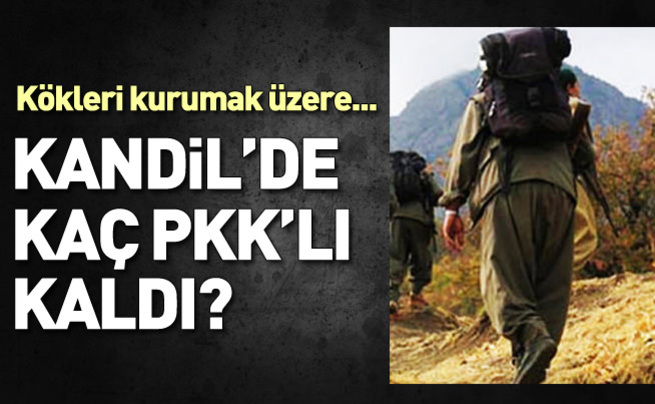 Kandil'de kaç terörist kaldı?
