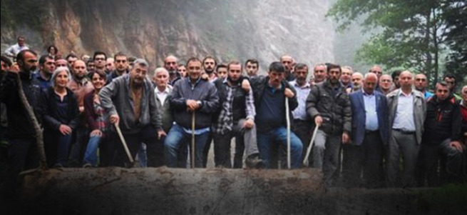 Artvin'de eylem için ağaç kesenler cezalandırılacak!