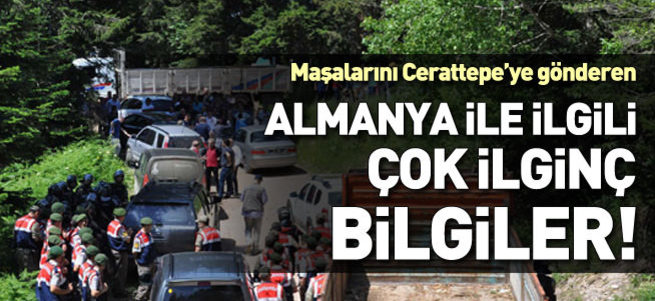 6 bin ağaç kesilirken maşalar neredeydi?